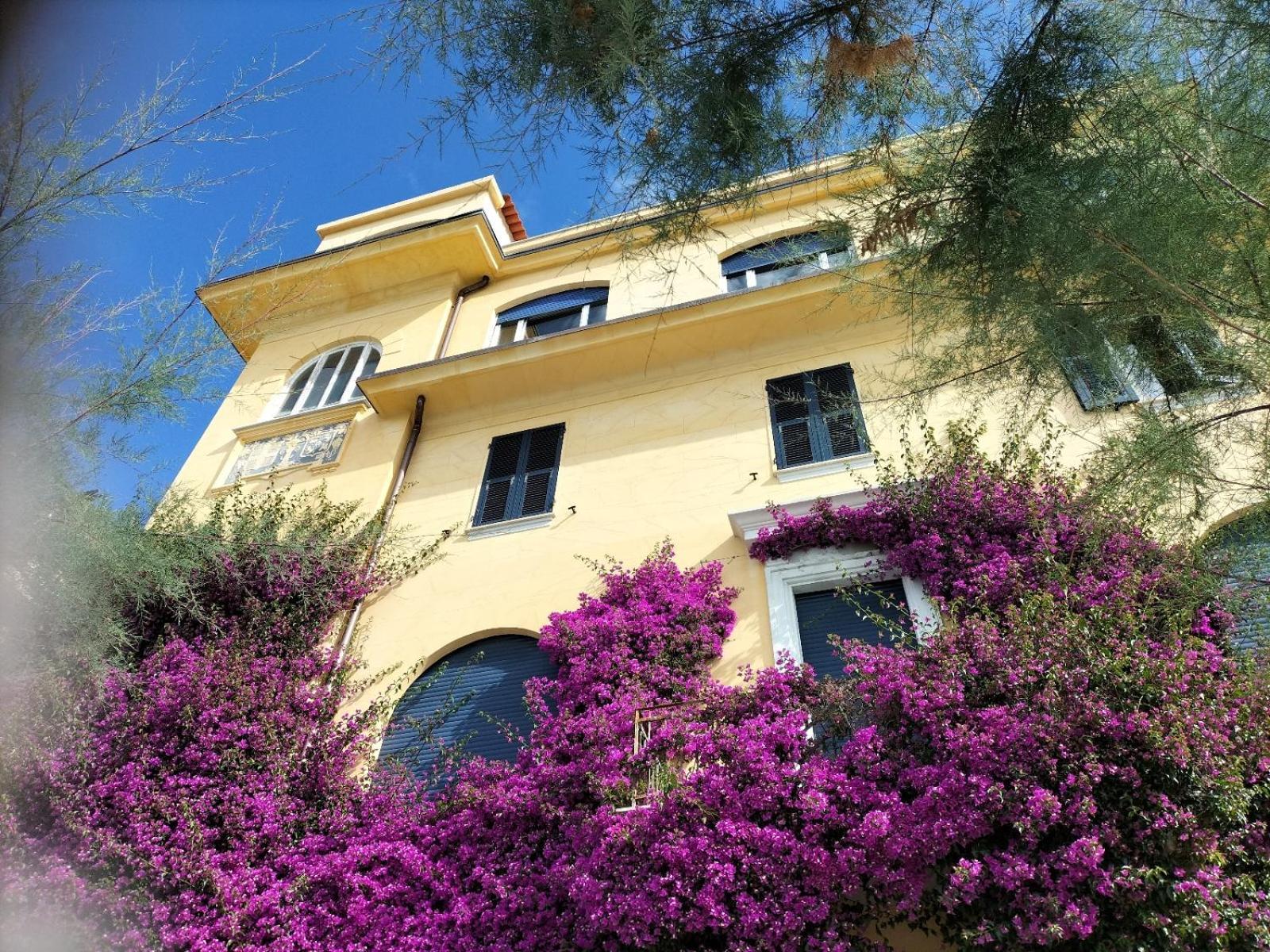 La Bouganville B&B Monterosso al Mare Extérieur photo